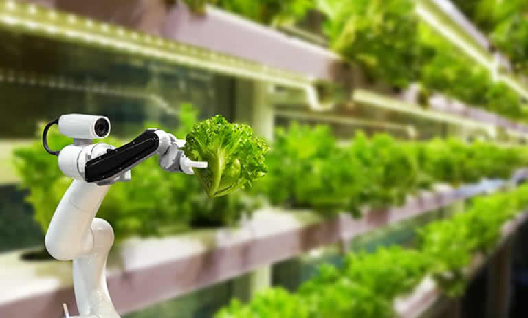 5 Innovators in the Food and Beverage Industry